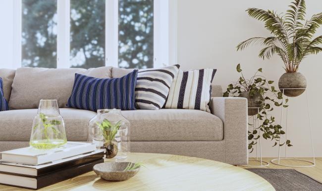 a couch with a table and plants