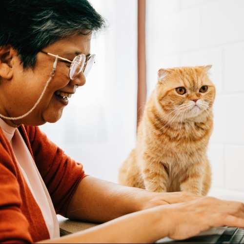 a woman using her laptop and a kitty